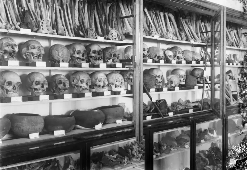 Real Sociedad Cosmológica